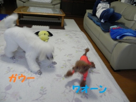 f:id:sorakunmama:20120121162132j:image f:id:sorakunmama:20120121162132j:image