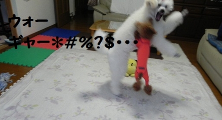 f:id:sorakunmama:20120121162135j:image f:id:sorakunmama:20120121162135j:image