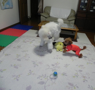 f:id:sorakunmama:20120121162139j:image f:id:sorakunmama:20120121162139j:image