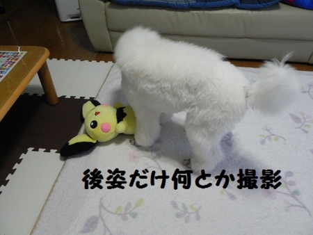 f:id:sorakunmama:20120121162349j:image f:id:sorakunmama:20120121162349j:image