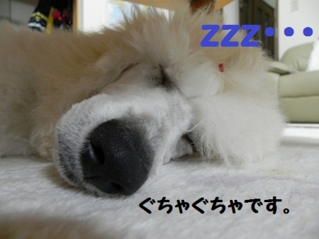 f:id:sorakunmama:20120121192914j:image f:id:sorakunmama:20120121192914j:image