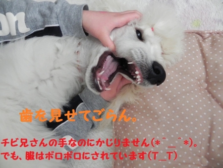 f:id:sorakunmama:20120128122104j:image f:id:sorakunmama:20120128122104j:image