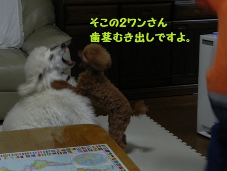 f:id:sorakunmama:20120129173130j:image f:id:sorakunmama:20120129173130j:image