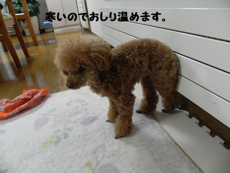 f:id:sorakunmama:20120129173409j:image f:id:sorakunmama:20120129173409j:image