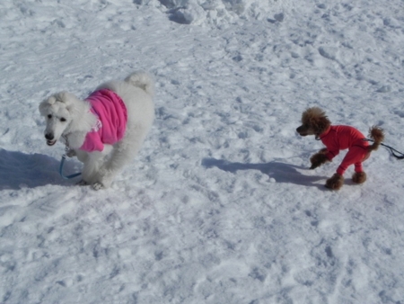 f:id:sorakunmama:20120209123017j:image f:id:sorakunmama:20120209123017j:image