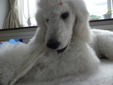 f:id:sorakunmama:20120223141056j:image f:id:sorakunmama:20120223141056j:image