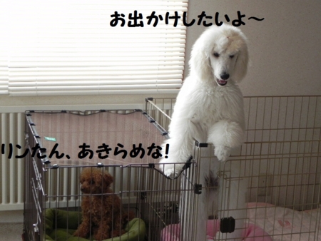 f:id:sorakunmama:20120226134318j:image f:id:sorakunmama:20120226134318j:image