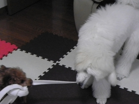 f:id:sorakunmama:20120229200139j:image f:id:sorakunmama:20120229200139j:image
