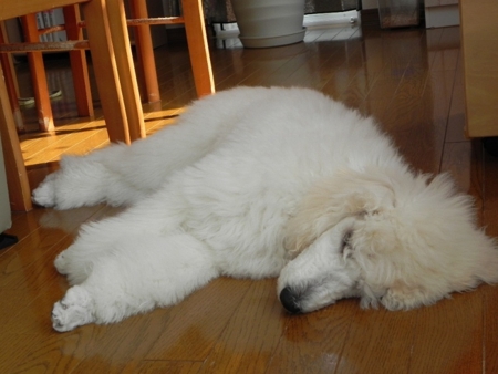 f:id:sorakunmama:20120301102757j:image f:id:sorakunmama:20120301102757j:image