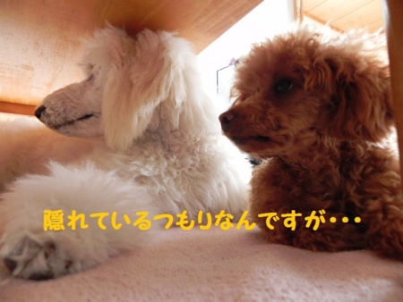 f:id:sorakunmama:20120308090049j:image f:id:sorakunmama:20120308090049j:image