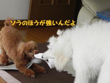 f:id:sorakunmama:20120308144011j:image f:id:sorakunmama:20120308144011j:image