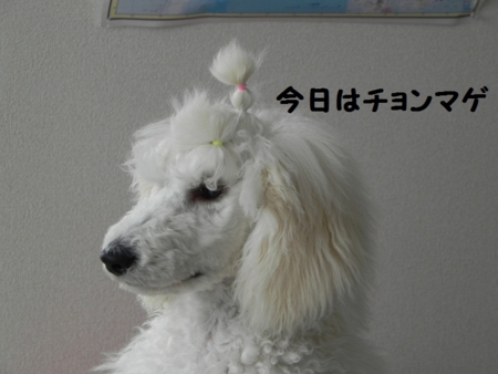 f:id:sorakunmama:20120308144219j:image f:id:sorakunmama:20120308144219j:image