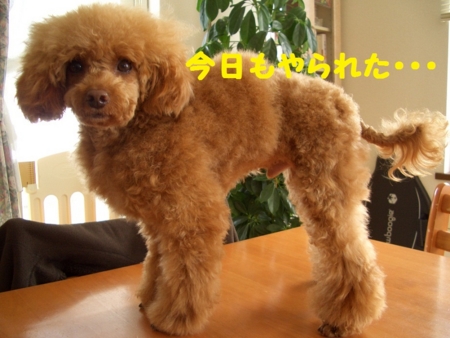 f:id:sorakunmama:20120324110409j:image f:id:sorakunmama:20120324110409j:image