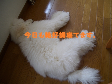 f:id:sorakunmama:20120324121901j:image f:id:sorakunmama:20120324121901j:image