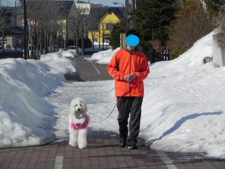 f:id:sorakunmama:20120328144214j:image f:id:sorakunmama:20120328144214j:image