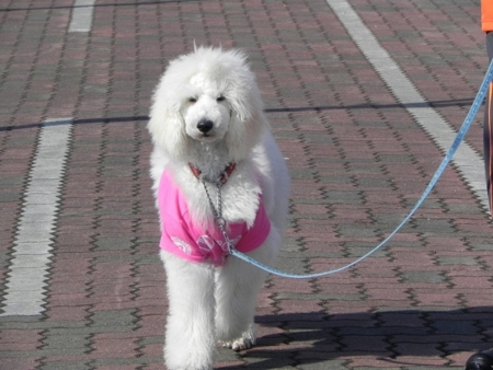 f:id:sorakunmama:20120328144252j:image f:id:sorakunmama:20120328144252j:image