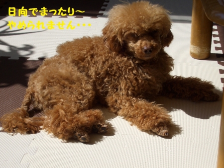 f:id:sorakunmama:20120329114813j:image f:id:sorakunmama:20120329114813j:image