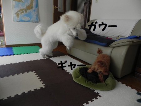 f:id:sorakunmama:20120401101331j:image f:id:sorakunmama:20120401101331j:image