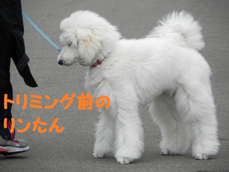 f:id:sorakunmama:20120402101811j:image f:id:sorakunmama:20120402101811j:image