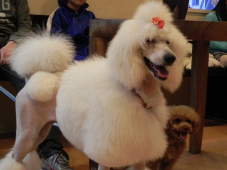 f:id:sorakunmama:20120402173849j:image f:id:sorakunmama:20120402173849j:image