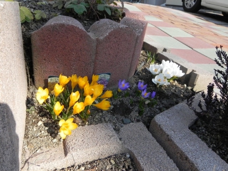 f:id:sorakunmama:20120414145057j:image f:id:sorakunmama:20120414145057j:image
