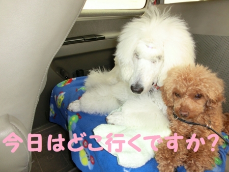 f:id:sorakunmama:20120422135402j:image f:id:sorakunmama:20120422135402j:image