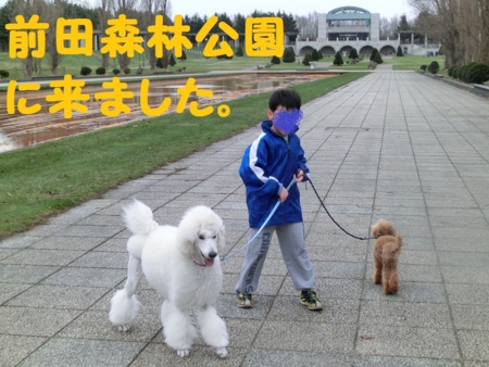 f:id:sorakunmama:20120422144723j:image f:id:sorakunmama:20120422144723j:image