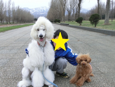f:id:sorakunmama:20120422151633j:image f:id:sorakunmama:20120422151633j:image