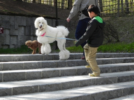 f:id:sorakunmama:20120513152847j:image f:id:sorakunmama:20120513152847j:image