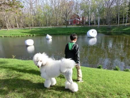 f:id:sorakunmama:20120513162542j:image f:id:sorakunmama:20120513162542j:image