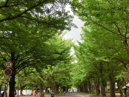f:id:sorakunmama:20120610152335j:image f:id:sorakunmama:20120610152335j:image