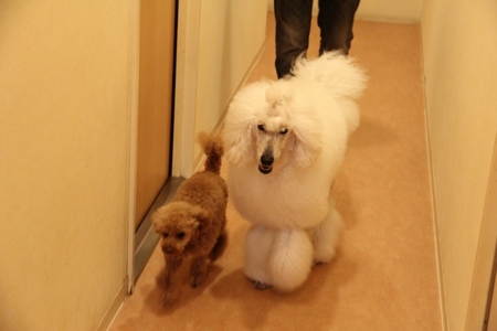 f:id:sorakunmama:20120623161047j:image f:id:sorakunmama:20120623161047j:image