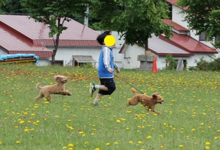 f:id:sorakunmama:20120624115413j:image f:id:sorakunmama:20120624115413j:image