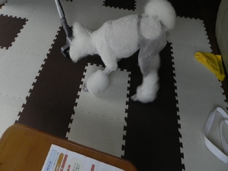 f:id:sorakunmama:20120701171420j:image f:id:sorakunmama:20120701171420j:image