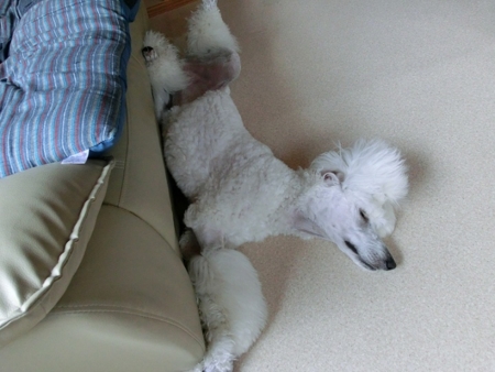 f:id:sorakunmama:20120705111824j:image f:id:sorakunmama:20120705111824j:image