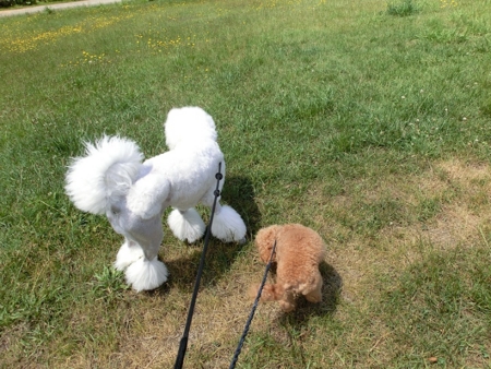 f:id:sorakunmama:20120706114522j:image f:id:sorakunmama:20120706114522j:image