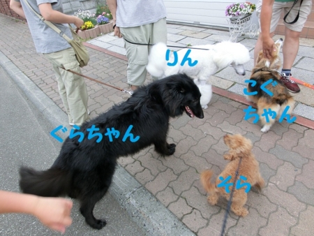f:id:sorakunmama:20120708180146j:image f:id:sorakunmama:20120708180146j:image