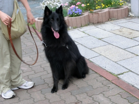 f:id:sorakunmama:20120708180305j:image f:id:sorakunmama:20120708180305j:image