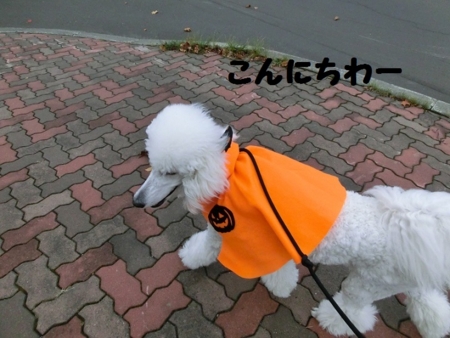 f:id:sorakunmama:20121031155152j:plain f:id:sorakunmama:20121031155152j:plain