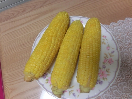 f:id:sorakunmama:20130901221326j:plain f:id:sorakunmama:20130901221326j:plain