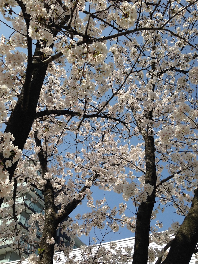 f:id:soranihoshi:20160405002158j:image f:id:soranihoshi:20160405002158j:image