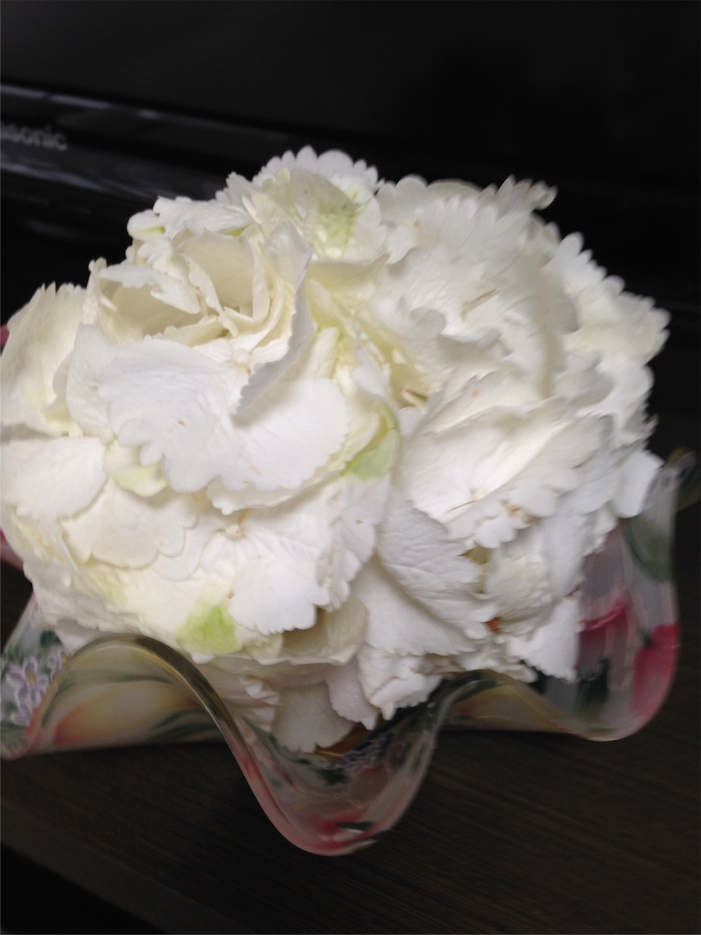 f:id:soranihoshi:20160427153748j:image f:id:soranihoshi:20160427153748j:image