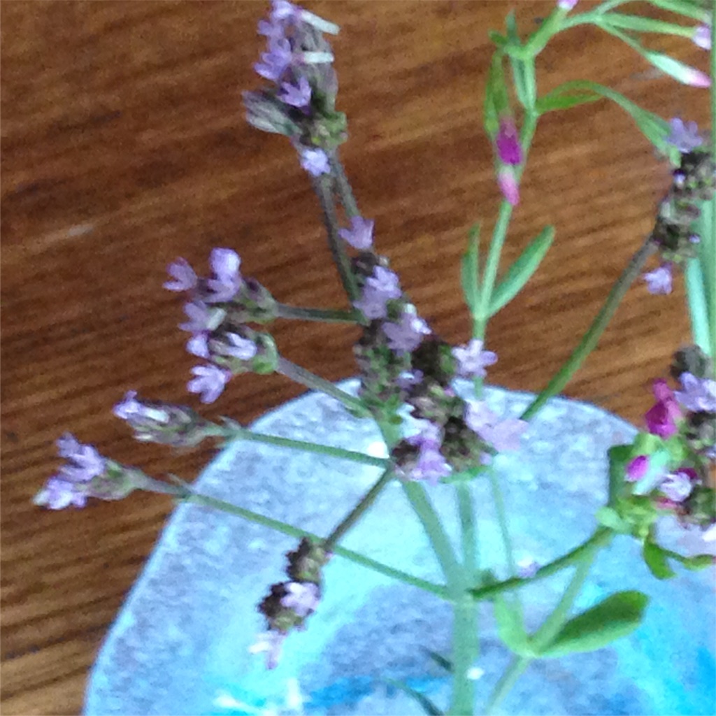 f:id:soranihoshi:20160602205540j:image f:id:soranihoshi:20160602205540j:image