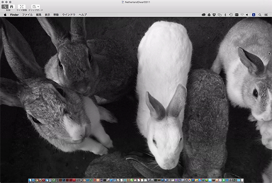 f:id:soranokurousagi:20150731163053p:plain f:id:soranokurousagi:20150731163053p:plain