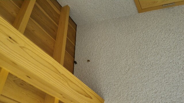 f:id:sorata1215:20150714222043j:plain