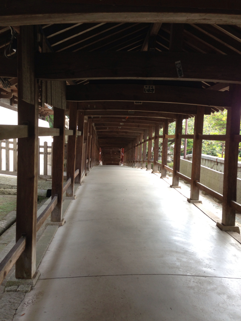 f:id:soratobu-kakuni:20131008133329j:plain f:id:soratobu-kakuni:20131008133329j:plain
