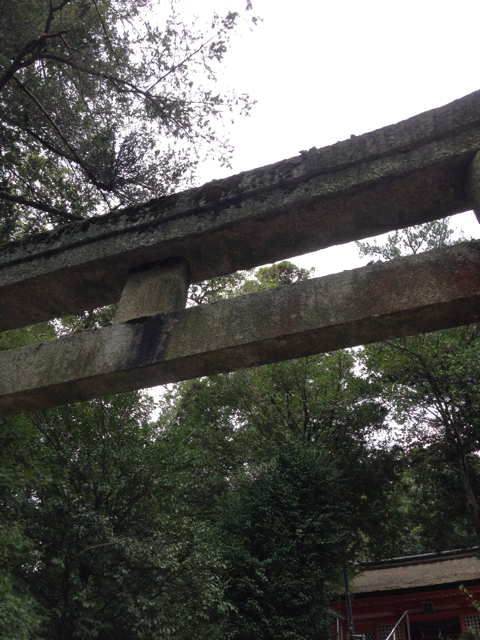f:id:soratobu-kakuni:20131008165453j:plain f:id:soratobu-kakuni:20131008165453j:plain