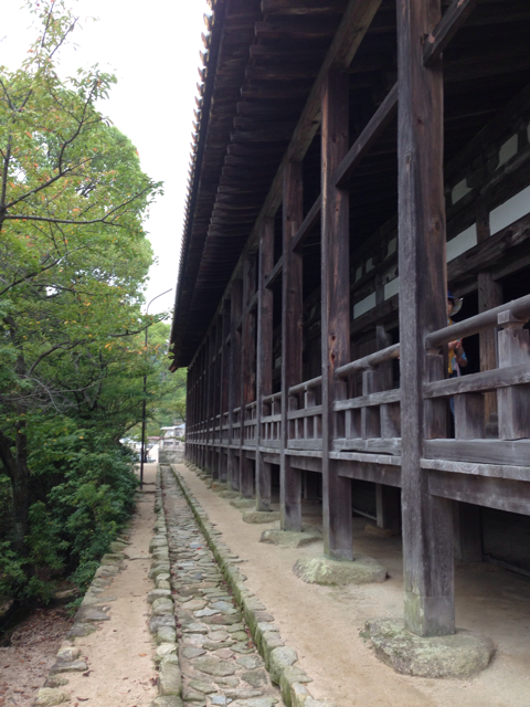 f:id:soratobu-kakuni:20131017073850j:plain f:id:soratobu-kakuni:20131017073850j:plain