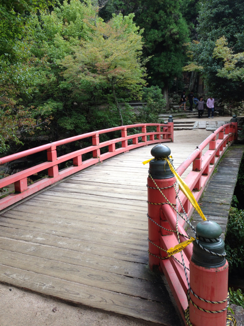 f:id:soratobu-kakuni:20131017074015j:plain f:id:soratobu-kakuni:20131017074015j:plain