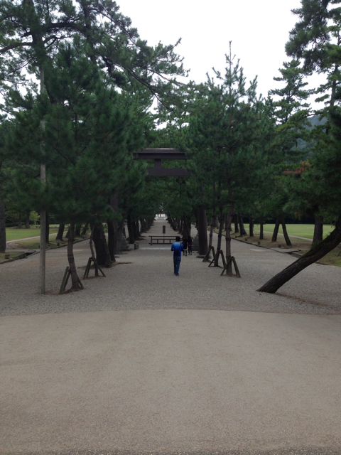 f:id:soratobu-kakuni:20131022081040j:plain f:id:soratobu-kakuni:20131022081040j:plain